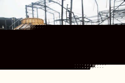 79533907