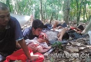 為躲避加納軍警，一些中國(guó)采金者在附近的可可樹林躲藏。本版圖片由中國(guó)采金者提供