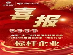 中國二十二冶再度榮膺“雙百行動(dòng)”標(biāo)桿企業(yè)